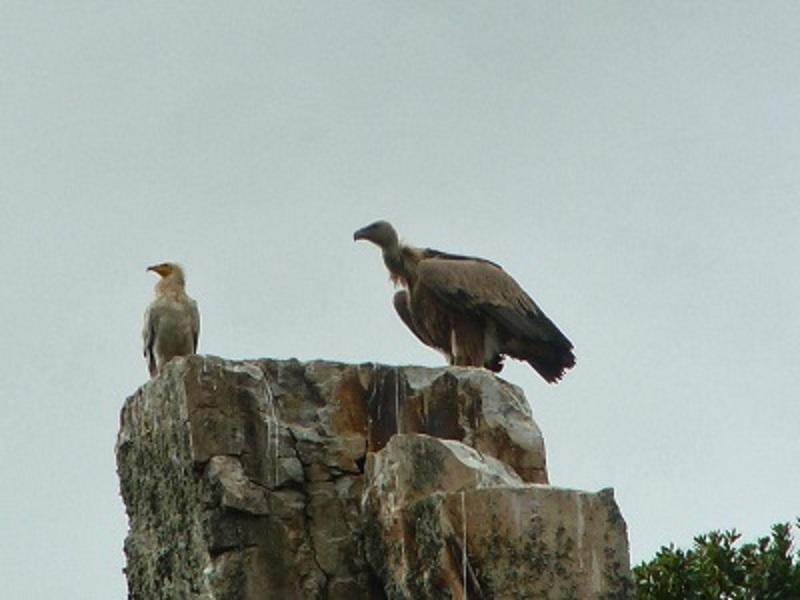 Pensjonat Los Montes Casas de Miravete Zewnętrze zdjęcie